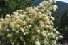 dsc_7744_fs_small.jpg