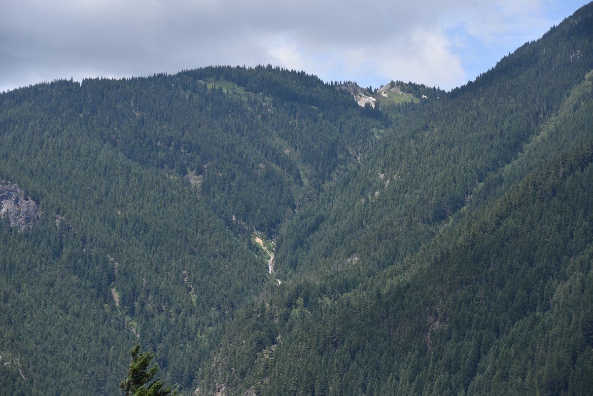 dsc_7783_fs.jpg