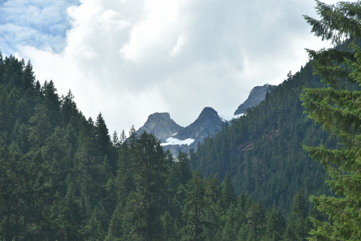 dsc_7794_fs.jpg