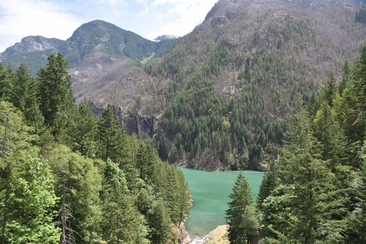dsc_7820_fs.jpg