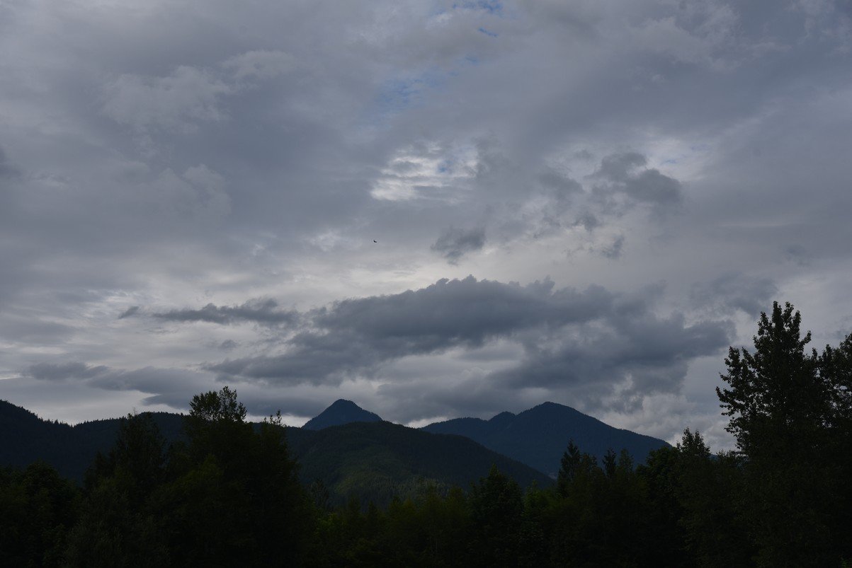 dsc_7856_fs.jpg