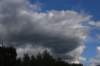 dsc_7859_fs_small.jpg