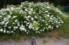 dsc_7862_fs_small.jpg