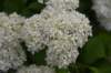 dsc_7863_fs_small.jpg