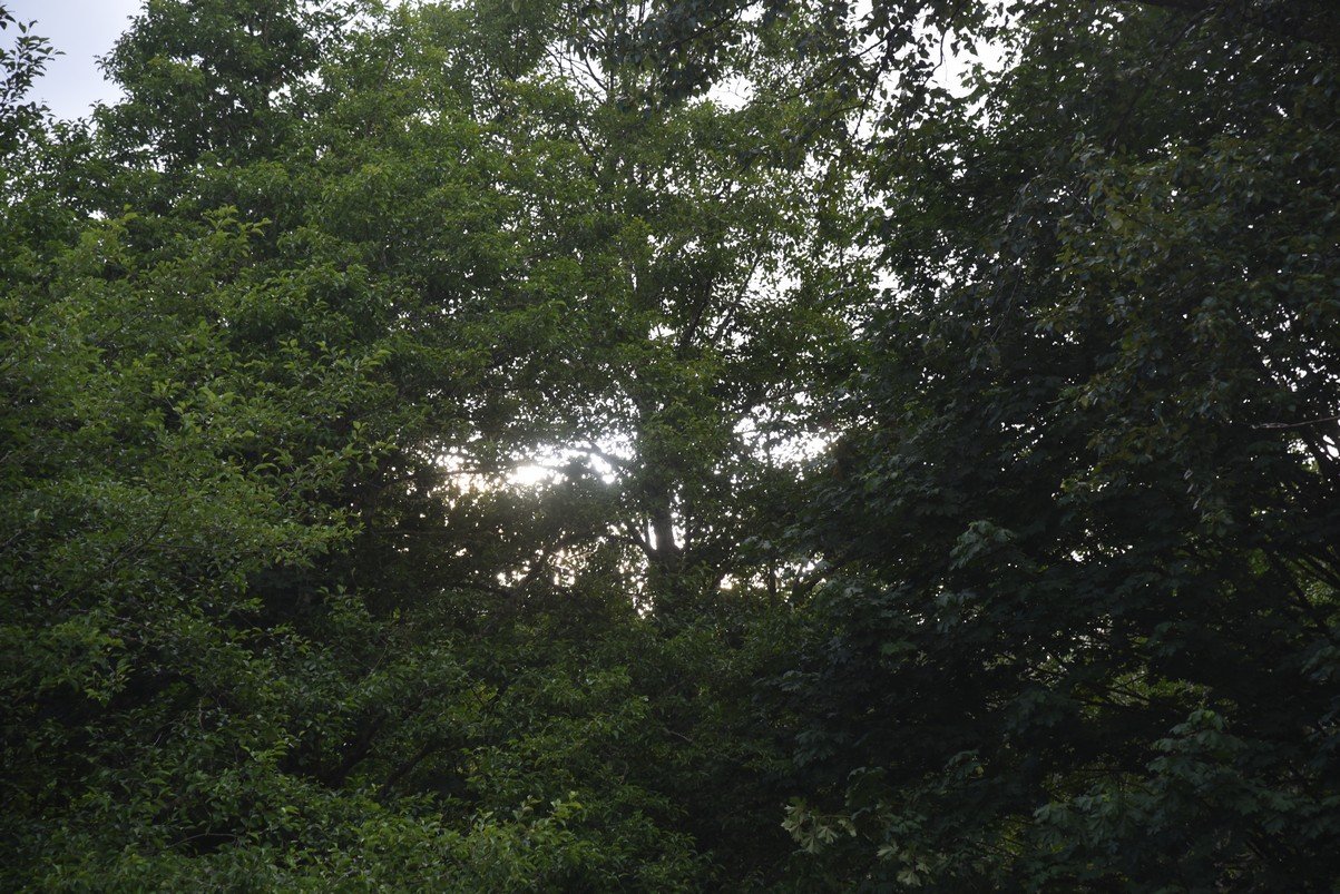 dsc_7864_fs.jpg