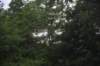 dsc_7864_fs_small.jpg