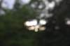 dsc_7865_fs_small.jpg
