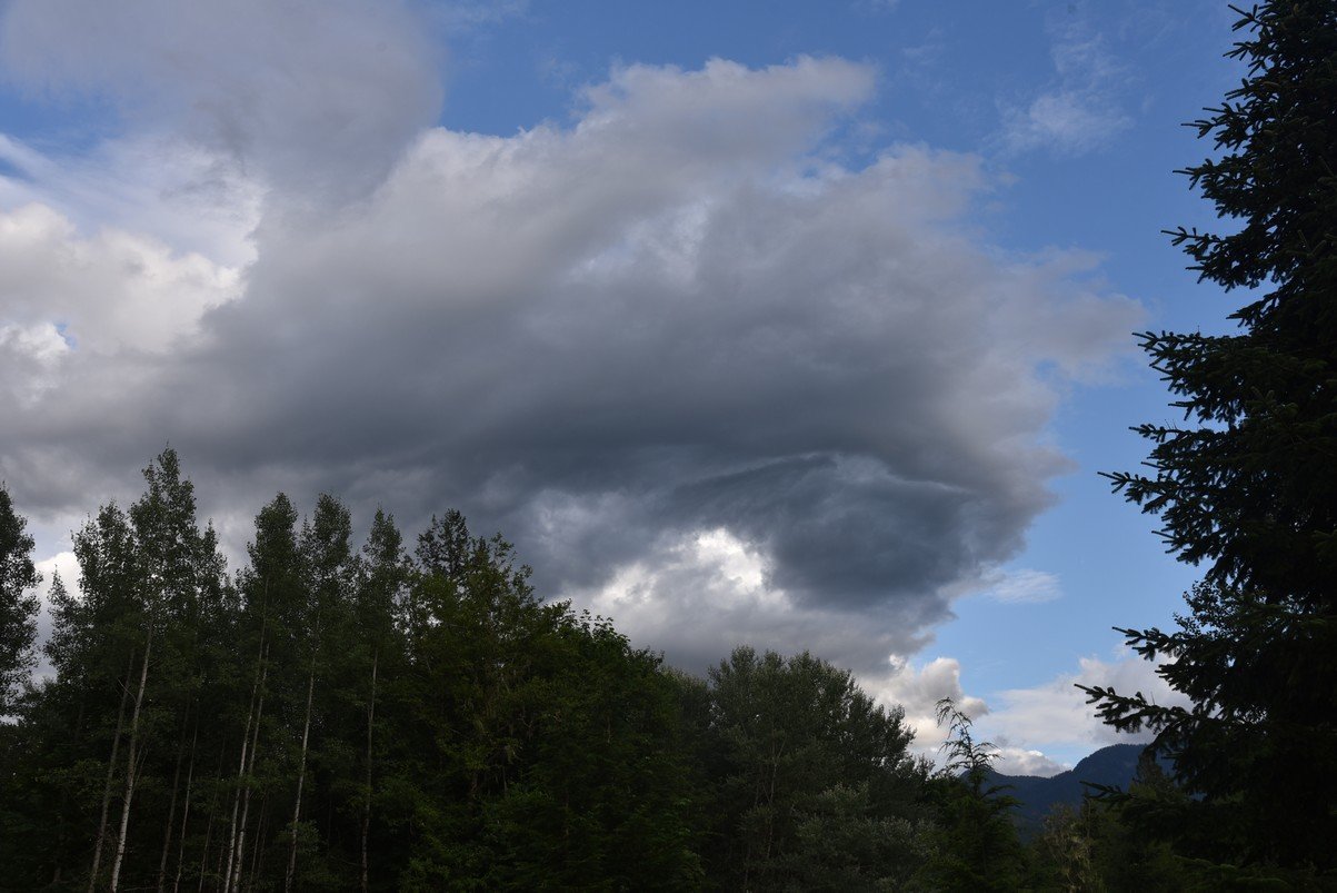 dsc_7867_fs.jpg