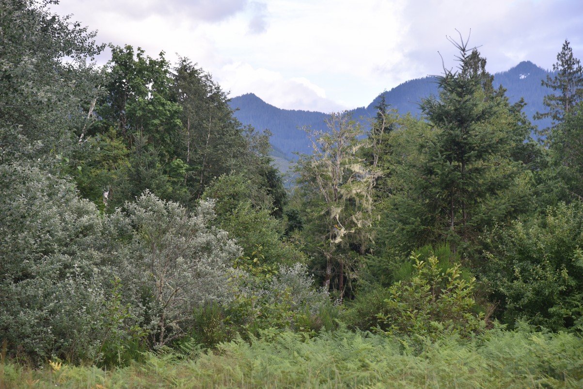 dsc_7868_fs.jpg