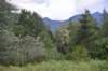 dsc_7868_fs_small.jpg