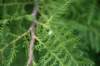 dsc_7872_fs_small.jpg