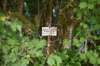 dsc_7873_fs_small.jpg