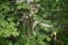 dsc_7874_fs_small.jpg