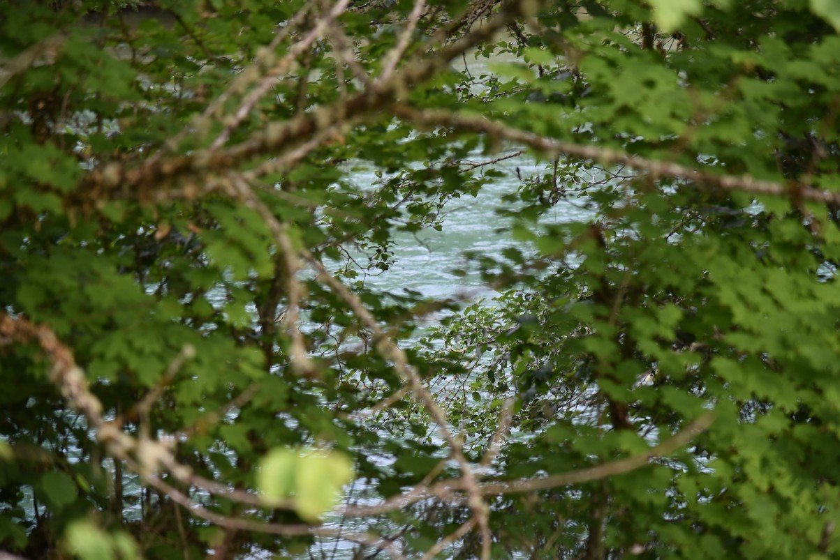 dsc_7875_fs.jpg