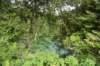 dsc_7876_fs_small.jpg