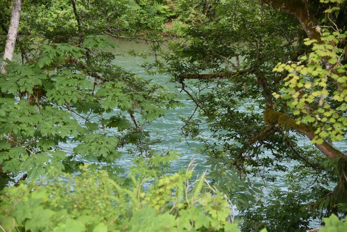 dsc_7877_fs.jpg