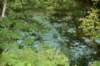 dsc_7877_fs_small.jpg