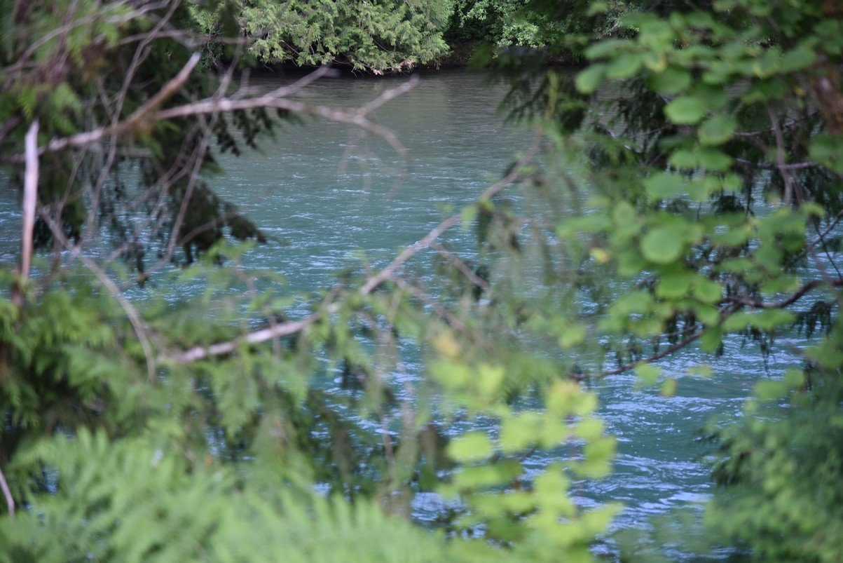 dsc_7879_fs.jpg