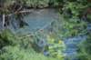 dsc_7879_fs_small.jpg