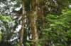 dsc_7880_fs_small.jpg