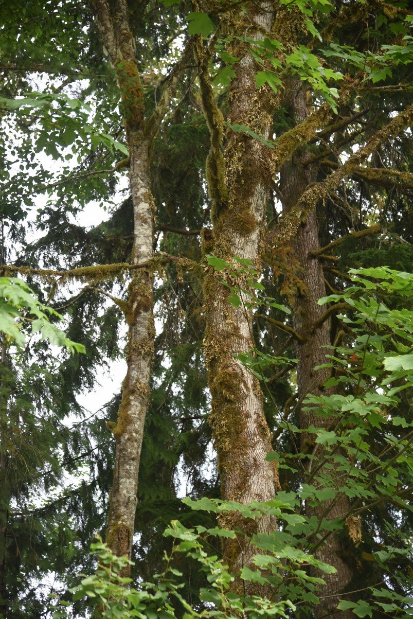 dsc_7881_fs.jpg