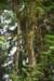dsc_7881_fs_small.jpg