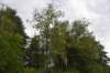 dsc_7882_fs_small.jpg