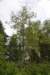 dsc_7883_fs_small.jpg