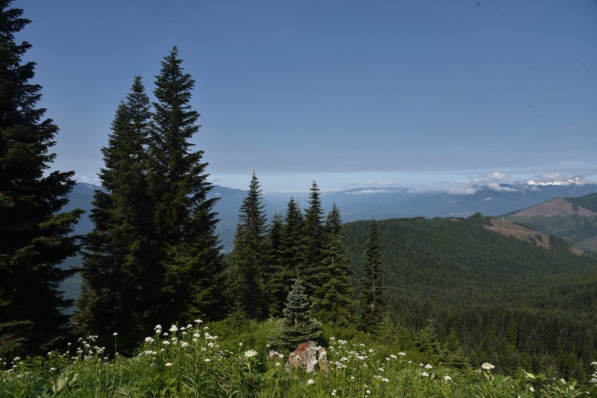 dsc_7909_fs.jpg