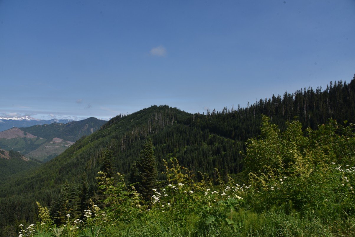 dsc_7911_fs.jpg