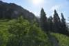 dsc_7923_fs_small.jpg