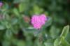 dsc_7926_fs_small.jpg