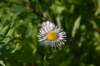 dsc_7927_fs_small.jpg