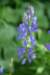 dsc_7929_fs_small.jpg