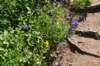 dsc_7930_fs_small.jpg