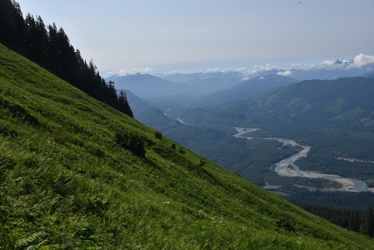 dsc_7936_fs.jpg