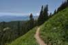 dsc_7944_fs_small.jpg