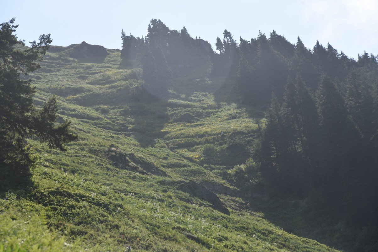 dsc_7947_fs.jpg