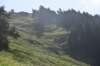 dsc_7947_fs_small.jpg