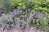 dsc_7948_fs_small.jpg