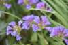dsc_7949_fs_small.jpg
