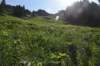 dsc_7953_fs_small.jpg
