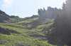 dsc_7954_fs_small.jpg