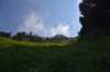 dsc_7957_fs_small.jpg