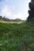 dsc_7958_fs_small.jpg