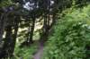 dsc_7960_fs_small.jpg