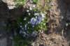 dsc_7961_fs_small.jpg