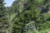 dsc_7976_fs_small.jpg