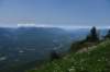 dsc_7987_fs_small.jpg