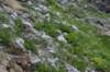 dsc_7995_fs_small.jpg